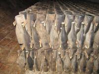 Hier steckt Geschichte drin ...