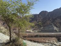 419 Hajar-Gebirge