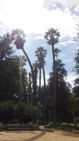 Botanischer Garten in Vina del Mar