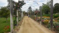 Weingut Matetic