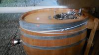 Weingut Matetic