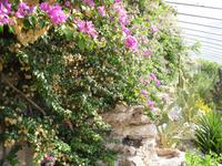 Vatikanische Gärten