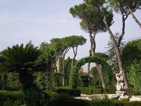 Vatikanische Gärten