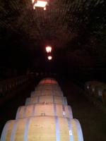 217_Weingut Concha y Toro