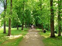 Wasserschloss Anholt, Park