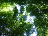 Botanischer Garten