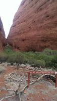 Uluru - Kata - Tjuta Nationalpark - Olgas