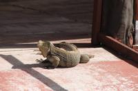 Katamaranausflug - Cayo Blanco