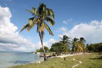 Katamaranausflug - Cayo Blanco