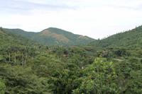 Orchideengarten in Soroa