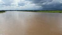 Los Llanos - Rundreise Venezuela – Natur und Abenteuer pur