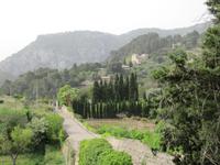 Valldemossa
