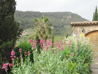 Valldemossa