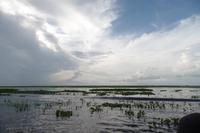 Los Llanos - Rundreise Venezuela – Natur und Abenteuer pur