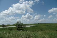 Los Llanos - Rundreise Venezuela – Natur und Abenteuer pur