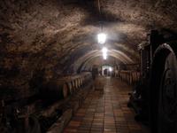 Weinkeller Schloß Melnik