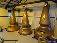 Auchentoshan Destillery