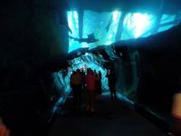 Dubai Mall Aquarium