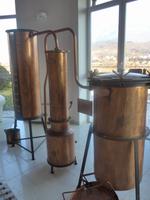 Grappa-Destille Marzadro