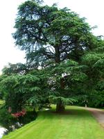 Wasserschloss Anholt, Park