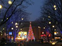 IMG_5304 Spielbank - Kerstin Veit