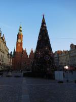 Rathaus und Weihnachtsbaum