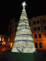 Weihnachtsbaum in Breslau