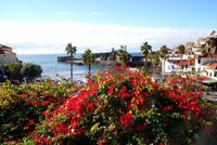 Camara de Lobos