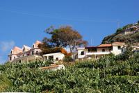 Madeira-Silvester im Atlantik 29.12.15-05.01.16