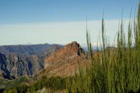 Madeira-Silvester im Atlantik 29.12.-05.01.16