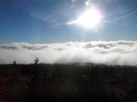 Über den Wolken am Brocken