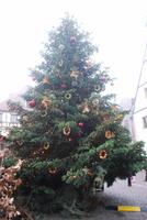 069. Weihnachtsmarkt Obernai