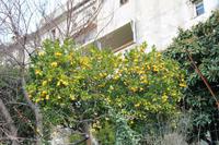 Spaziergang durch St. Paul de Vence