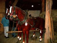 Hansmeyerhof in Buchenbach