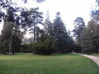 Schlosspark Pillnitz