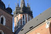Der Turmbläser auf der Marienkirche 