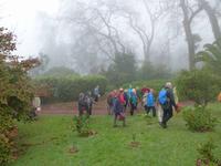 042. Palheiro Gardens, Madeira