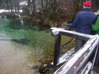 Blick zur glasklaren Wocheiner Save im Triglav - Nationalpark.