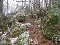 Landschaft im Triglavgebirge