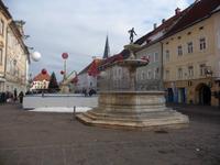 Der Vogelweidebrunnen in St.Veit.