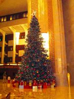 Al Bustan Palace Hotel