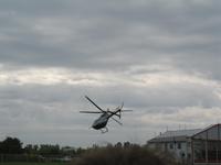 IMG_1269