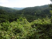 Topes de Collantes