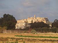 Gozo
