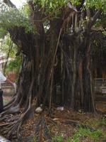 Oldtimertour Havanna