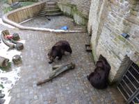 Bärenzwinger Schloss Droyßig