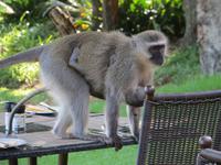 nach dem Frühstück ...