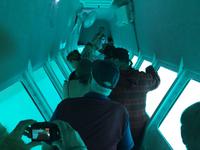 Glasbootfahrt am Great Barrier Reef