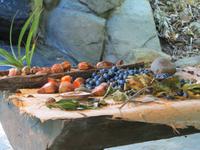 Tjapukai - Kulturzentrum