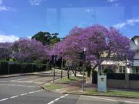 Sydney
